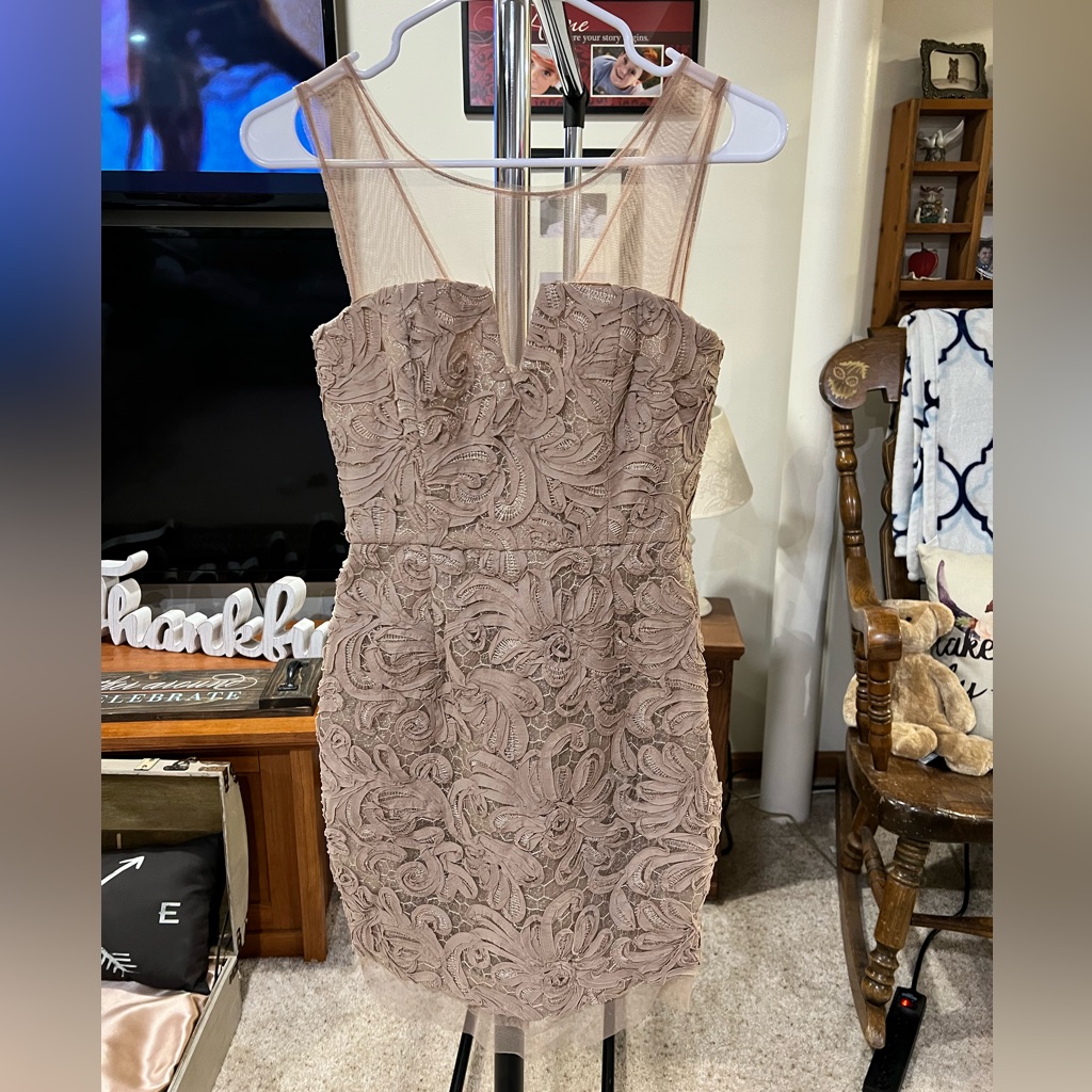 Bcbg Maxazria Abigail Dress